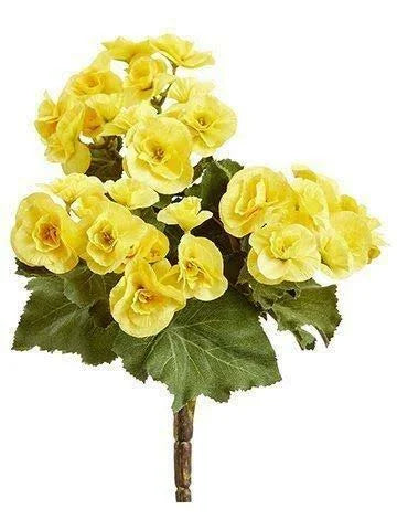12 Pieces Yellow Begonia Bush R792342