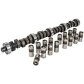 Hydraulic Flat Tappet Camshaft & Lifters C730