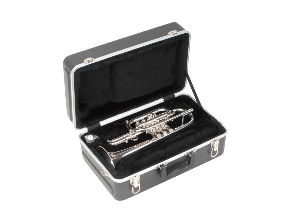 Cornet Case P920163