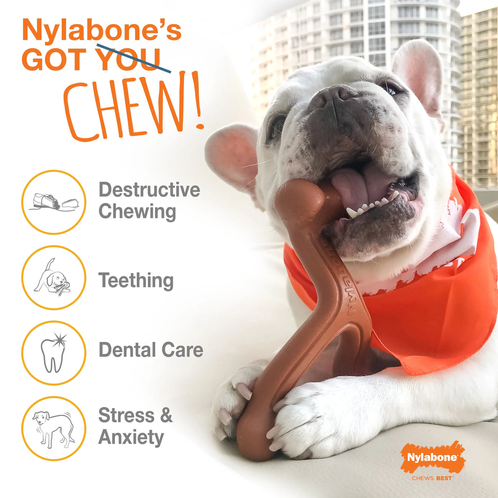 Triple Pack X-Small/Petite Chew Toy K75830