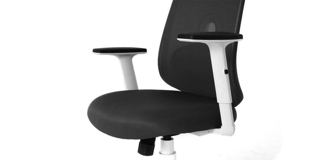 Ergonomic Swivel Office Chair with Lumbar Adjust (Black) L27146