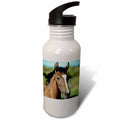21 oz Sports Water Bottle F574