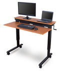 48-inch Crank Adjustable Height Stand Up Desk with Steel Frame Y79369