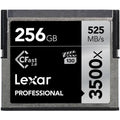 CFast 2.0 256 GB Memory Card L183