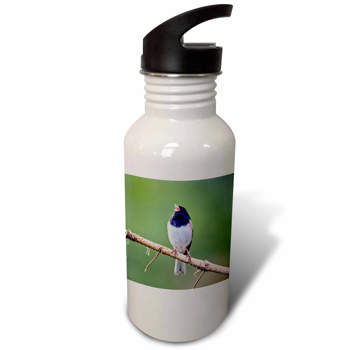 21 oz Sports Water Bottle B2670