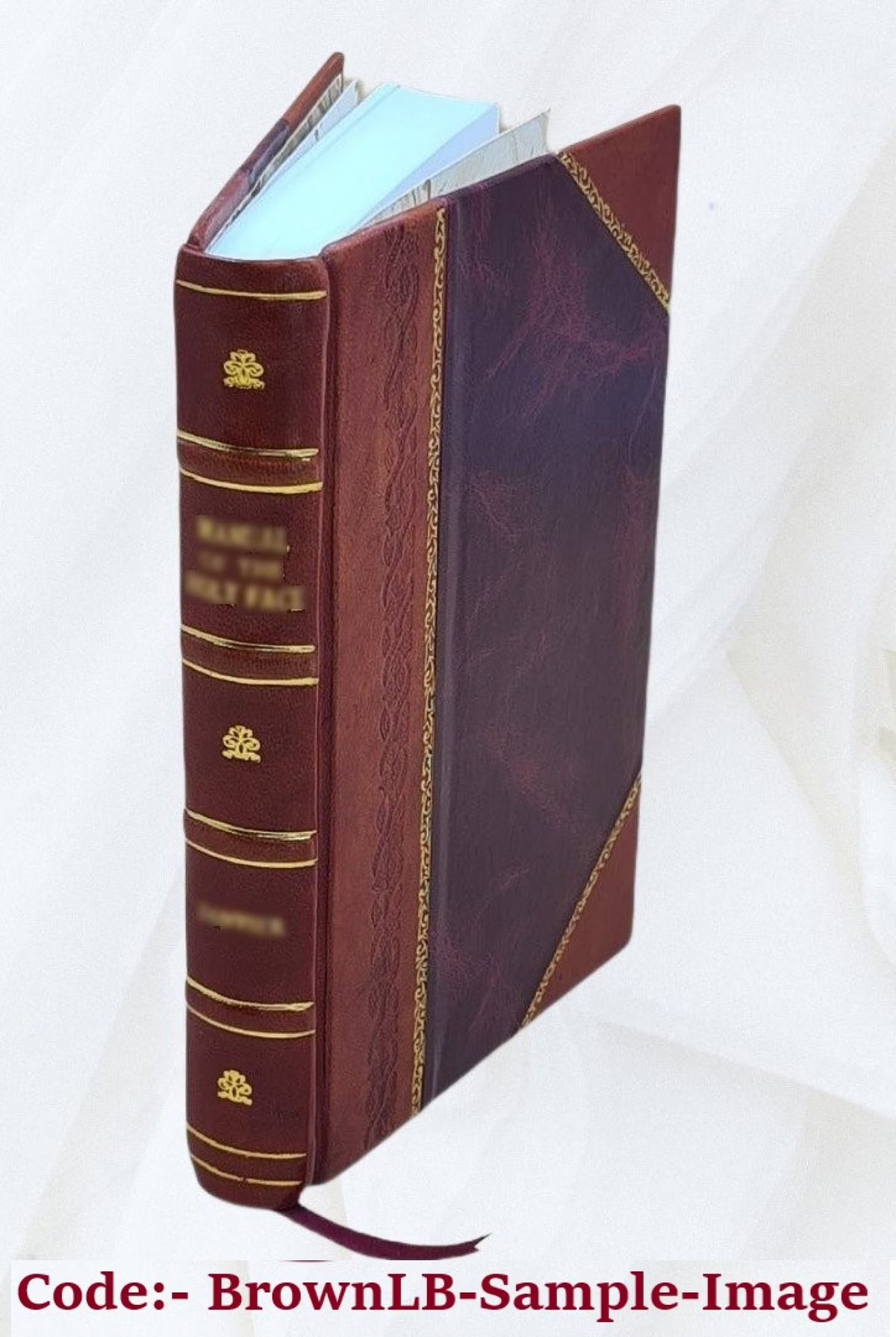 Leather Bound Book I442