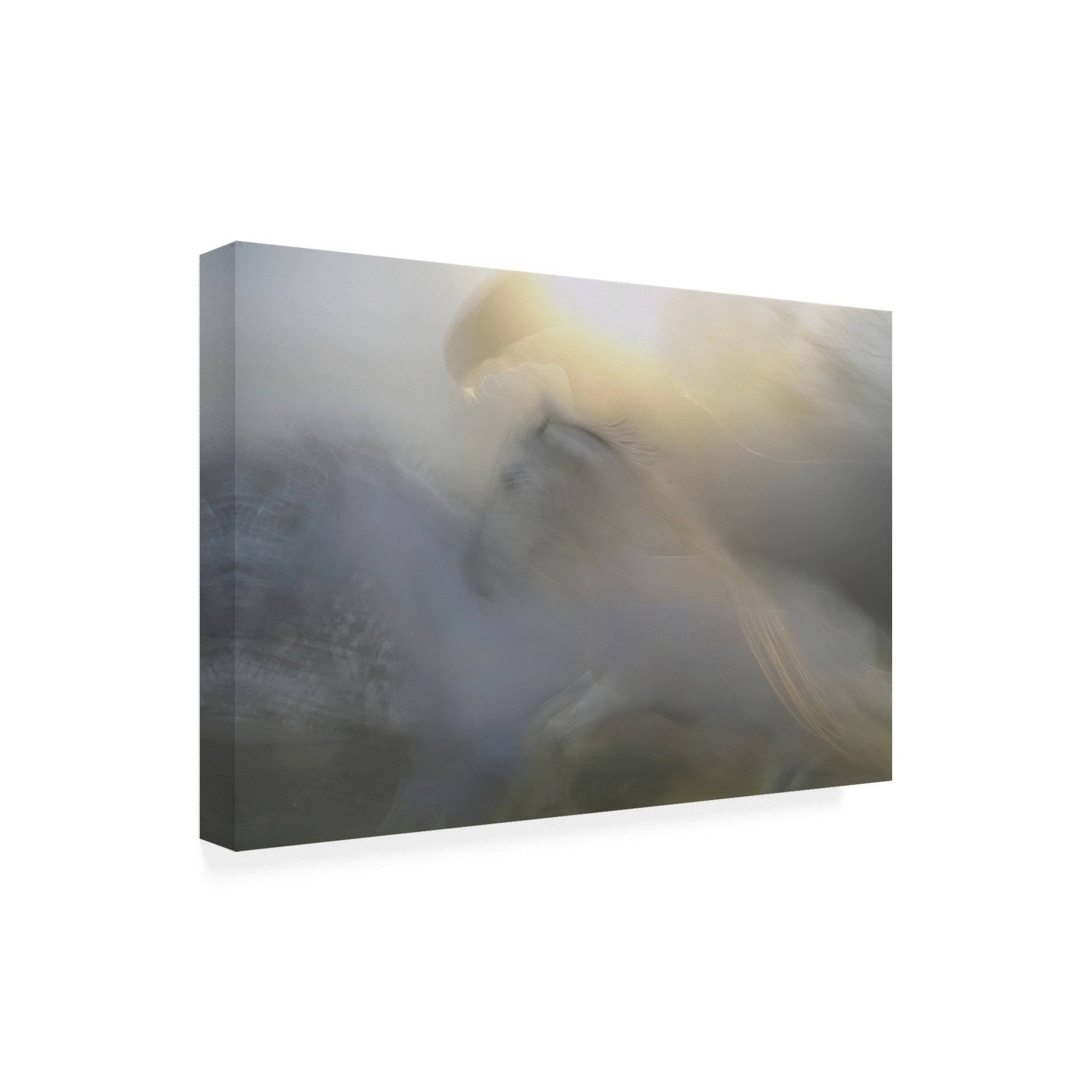 Canvas Art - 22x32 X9573