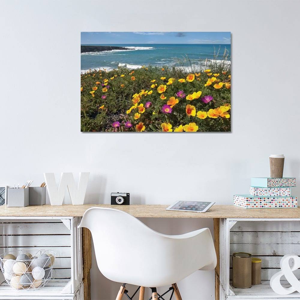 California Poppy and Iceplant Print on Canvas Art P931775