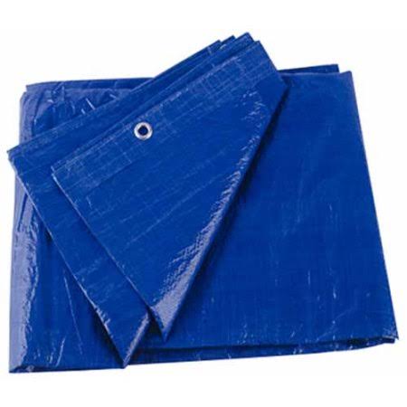 Green Poly Tarp 30 x 50 T282