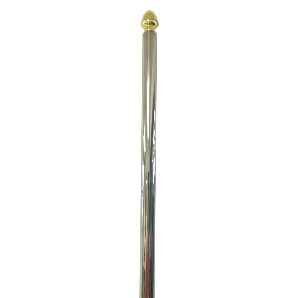 Heavy Duty Parade Flag Pole I9774