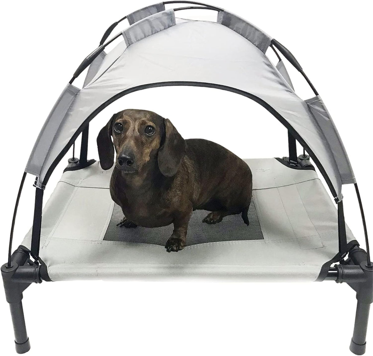 Grey Elevated Pet Cot With Canopy Outdoor Dog Bed I28053