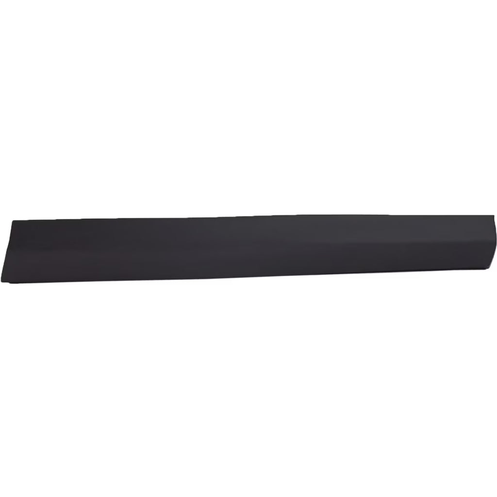 Rocker Panel Trim C496