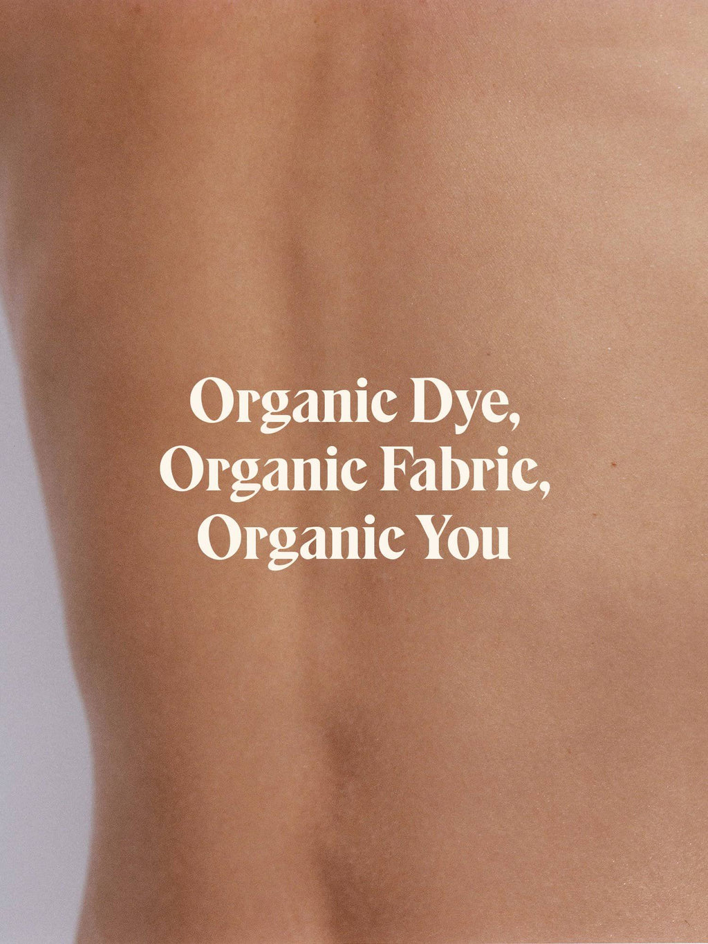 Organic Cotton Classic Tee Sage U661