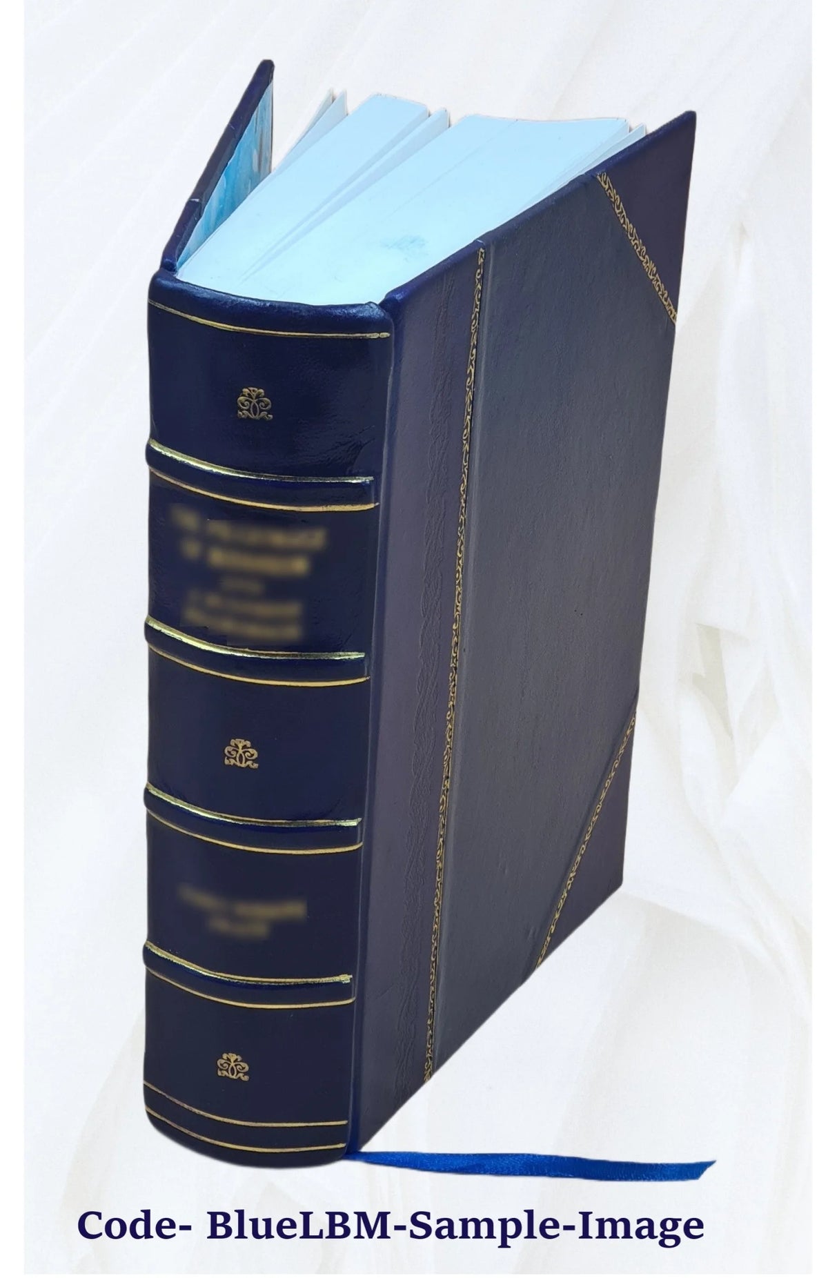 Patrologia Latina, Opera Omnia, Leather Bound I543542