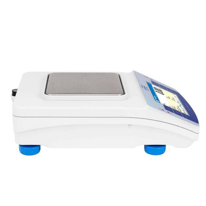 600 G Capacity Precision Balance D973