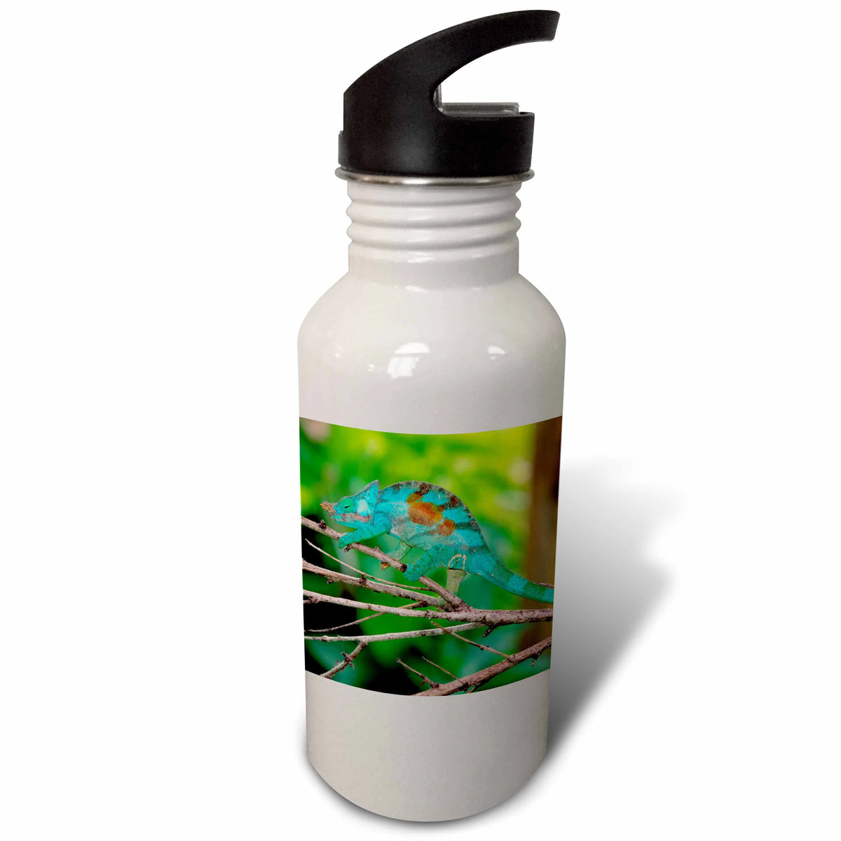 21 oz Sports Water Bottle F440