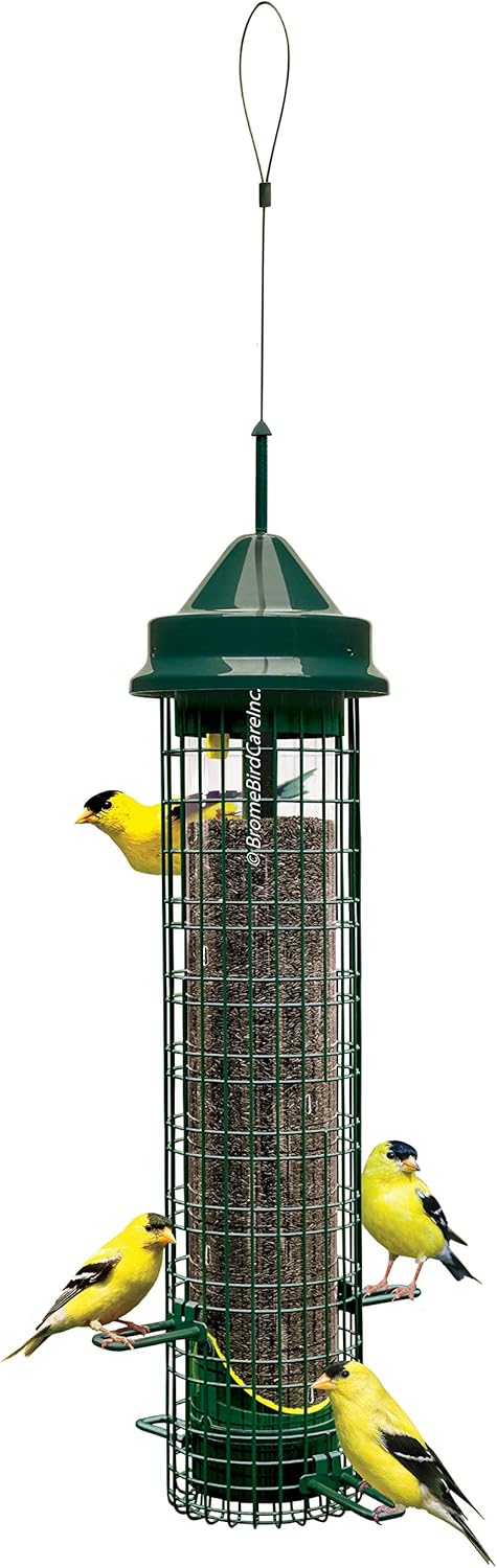 Squirrel-proof Finch Bird Feeder with 4 Metal Perches & 8 Feeding Ports, 2.4-pound Thistle Seed Capacity, Pack of 2 Y980816