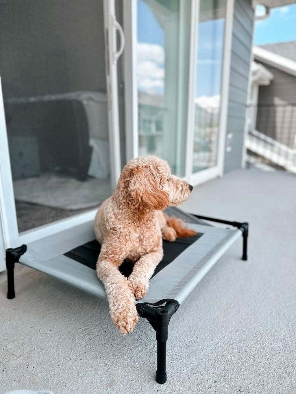 Grey Elevated Pet Cot With Canopy Outdoor Dog Bed I28053