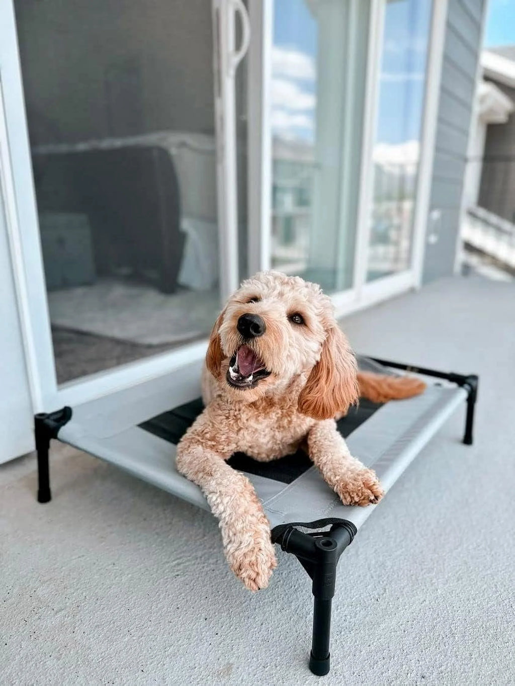 Grey Elevated Pet Cot With Canopy Outdoor Dog Bed I28053