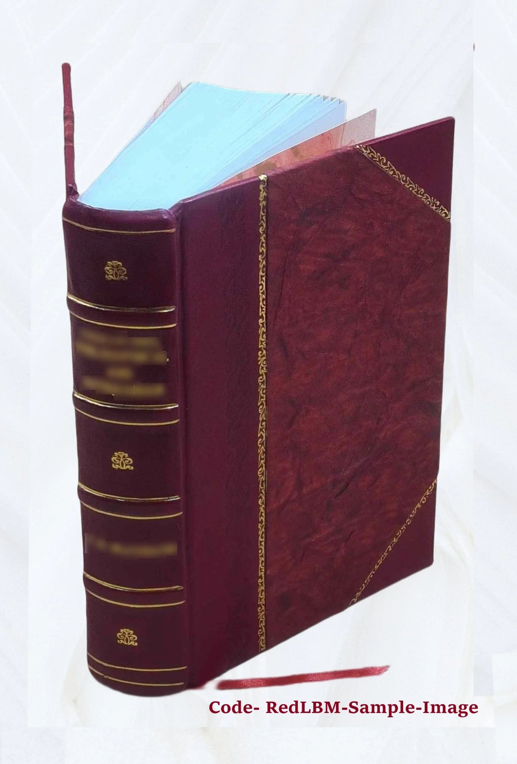 Patrologia Latina, Opera Omnia, Leather Bound I543542