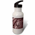 Reddish 21 oz Sports Water Bottle P935
