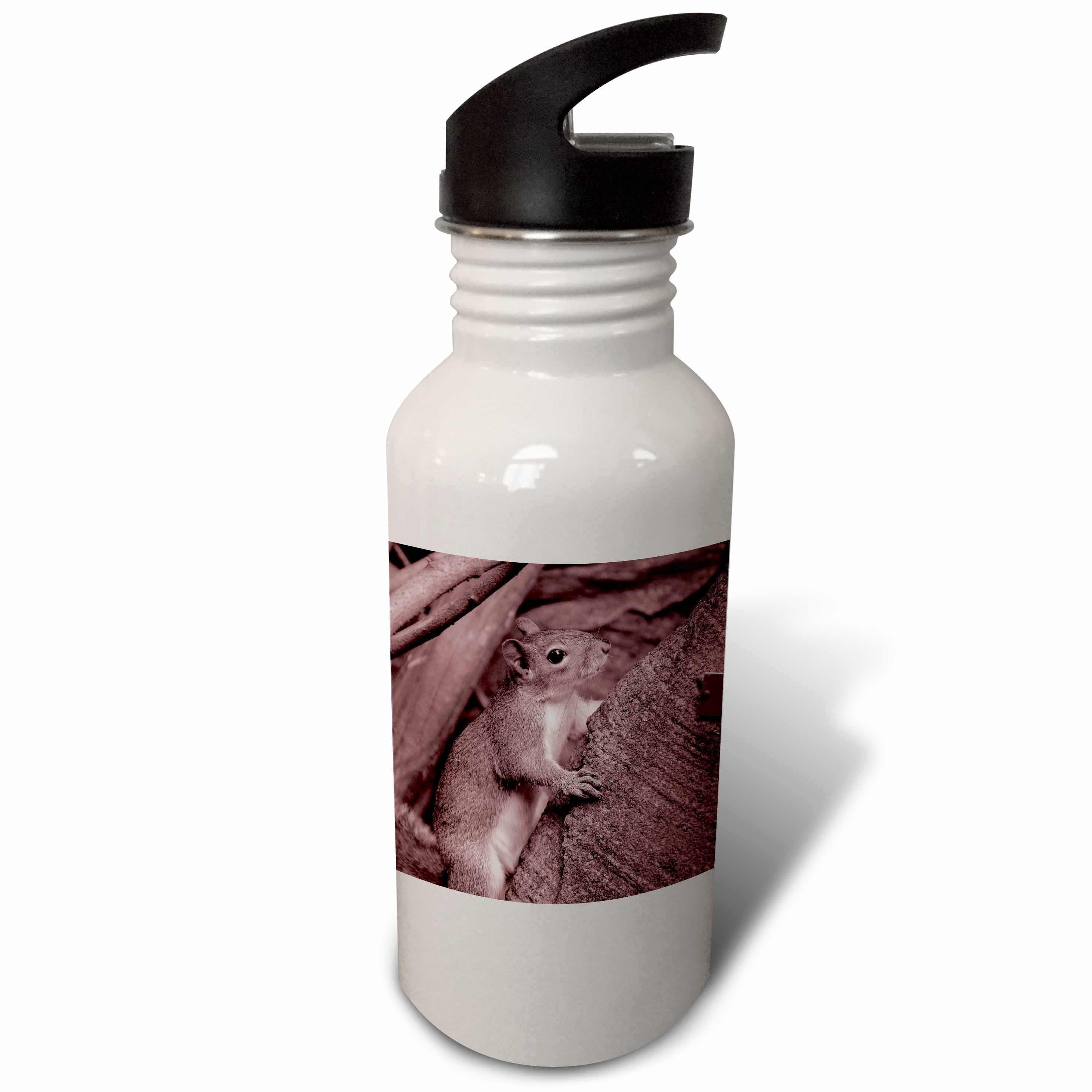 Reddish 21 oz Sports Water Bottle P935