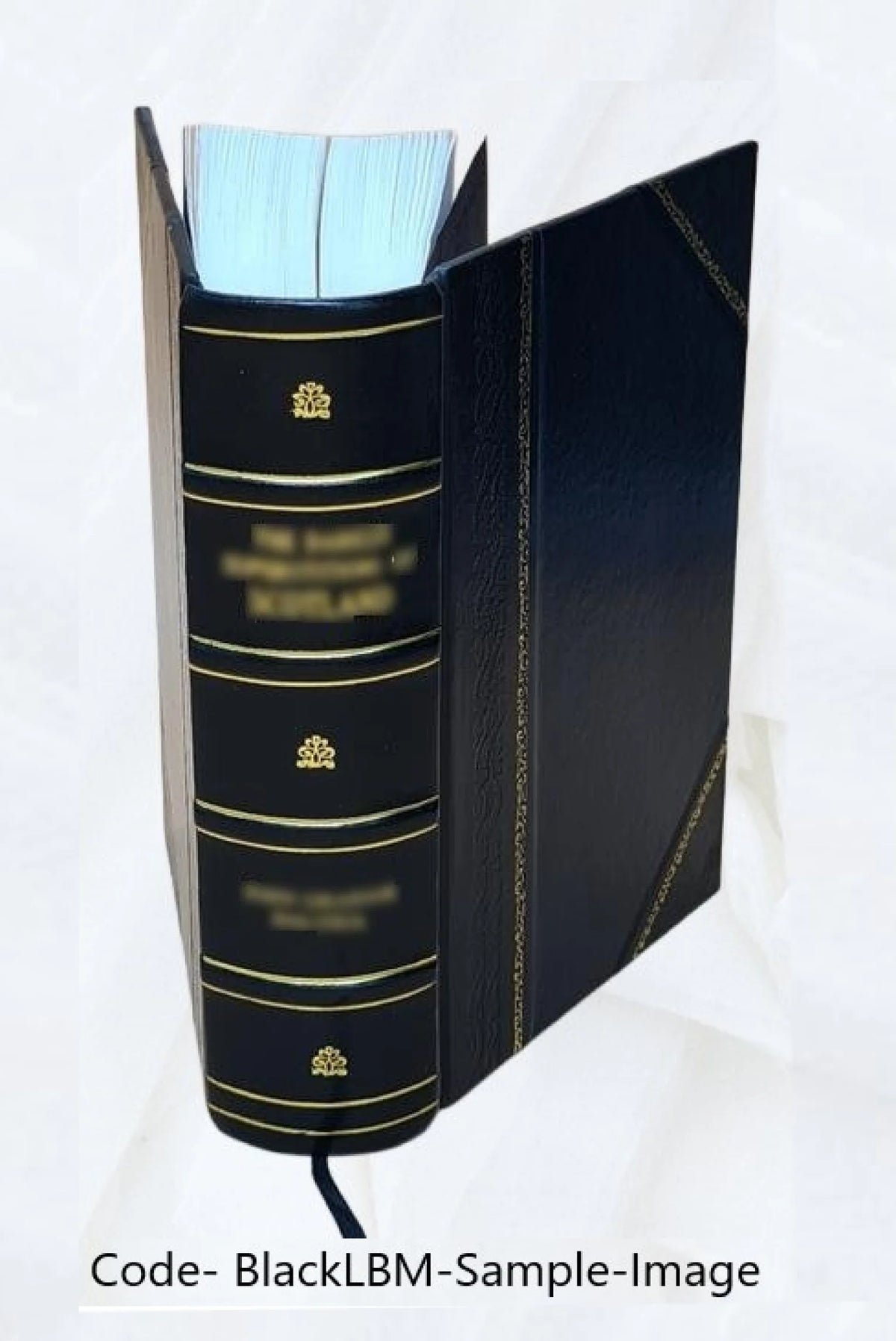 Patrologia Latina, Opera Omnia, Leather Bound I543542