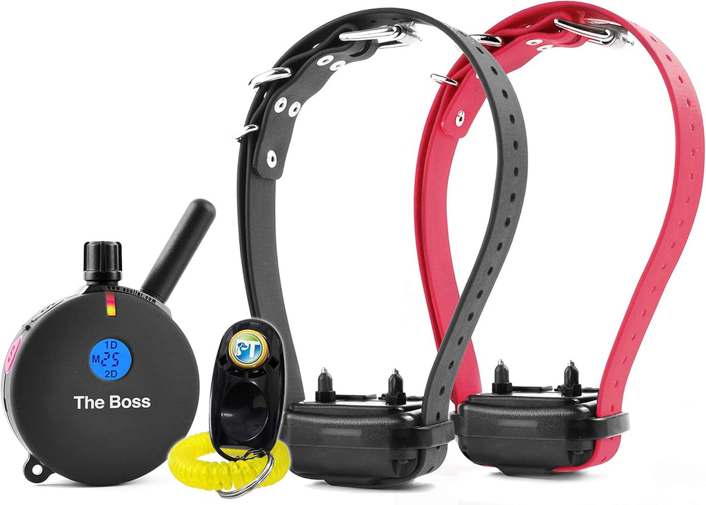 Rechargeable Remote Waterproof Trainer for Two Dogs with Dog Training Clicker I5985