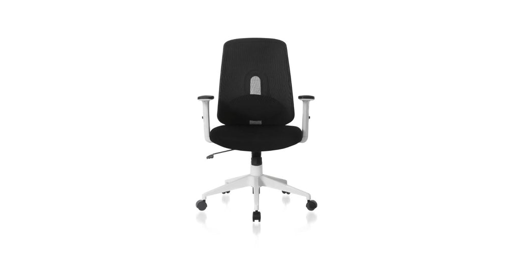 Ergonomic Swivel Office Chair with Lumbar Adjust (Black) L27146