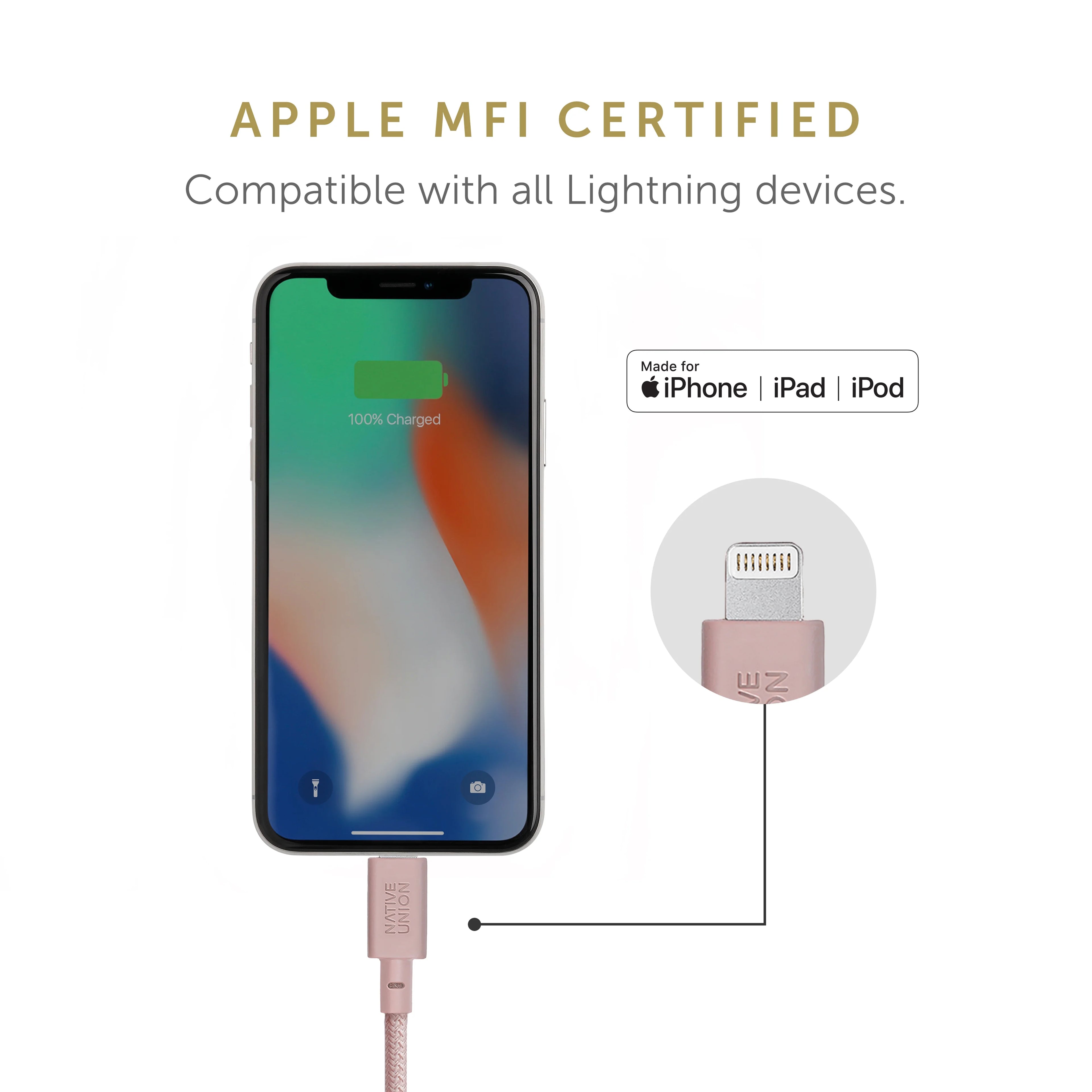 10ft Reinforced Lightning to USB Charging Cable with Leather Strap L767