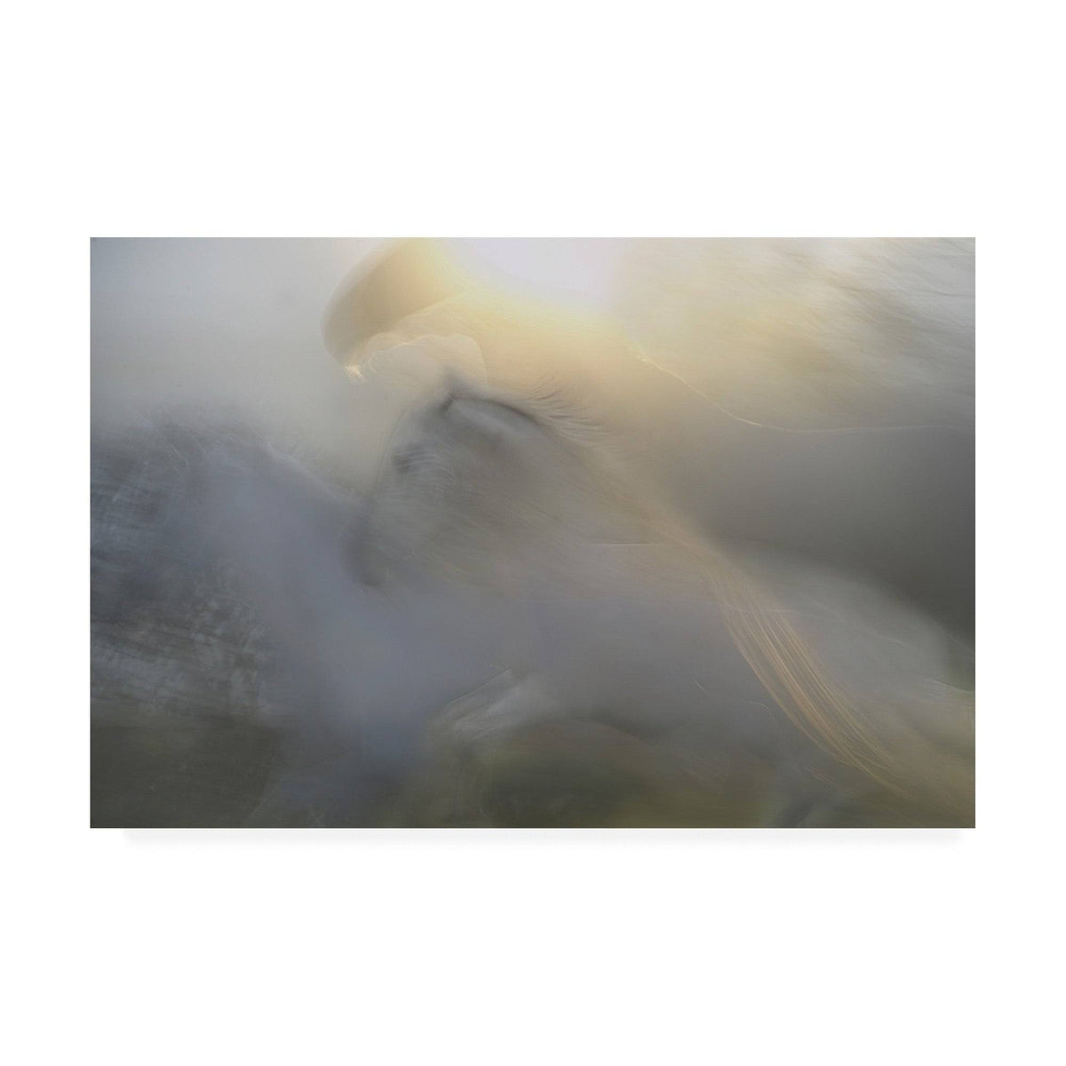 Canvas Art - 22x32 X9573