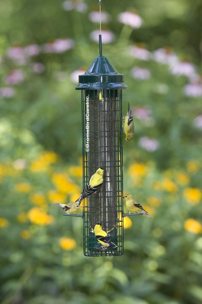 Squirrel-proof Finch Bird Feeder with 4 Metal Perches & 8 Feeding Ports, 2.4-pound Thistle Seed Capacity, Pack of 2 Y980816