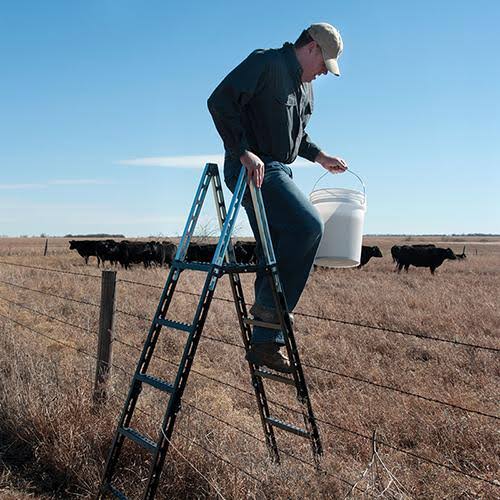 EZ Step Ladder G46337