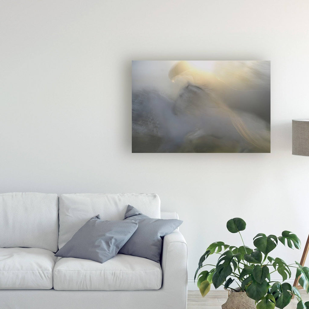 Canvas Art - 22x32 X9573