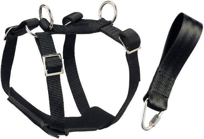 Car Safety Harness Small 15 cm B180344