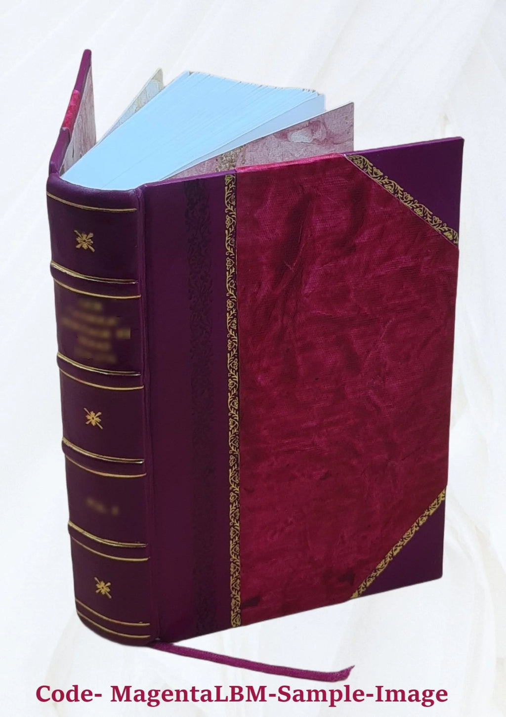Patrologia Latina, Opera Omnia, Leather Bound I543542
