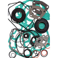Professional Gasket Set with Oil Seals W5435