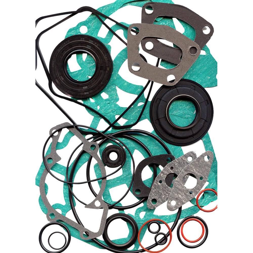 Professional Gasket Set with Oil Seals W5435
