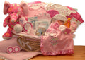 Pink Moses Carrier Baby Gift Basket J784