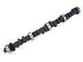 Magnum Camshaft G98509