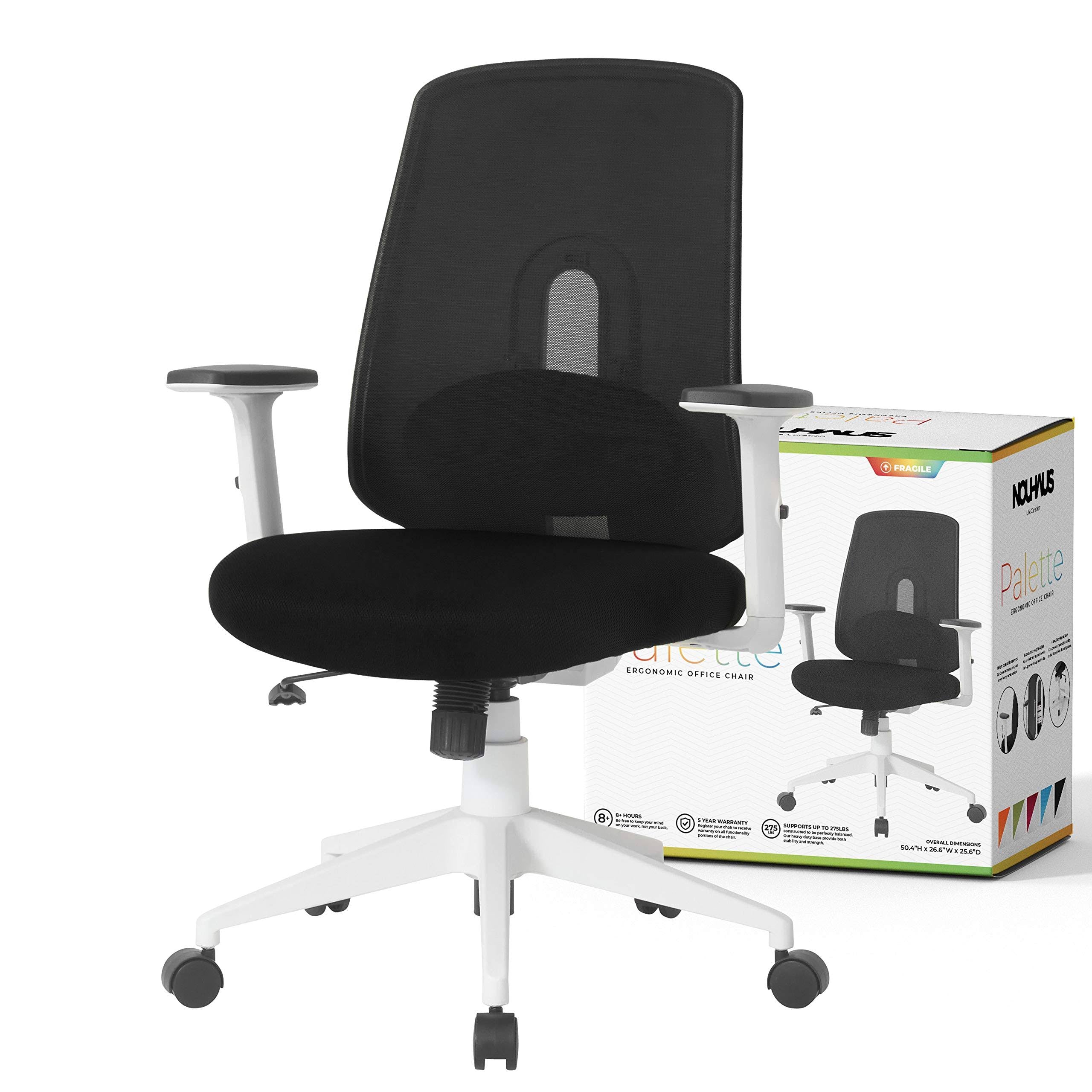 Ergonomic Swivel Office Chair with Lumbar Adjust (Black) L27146