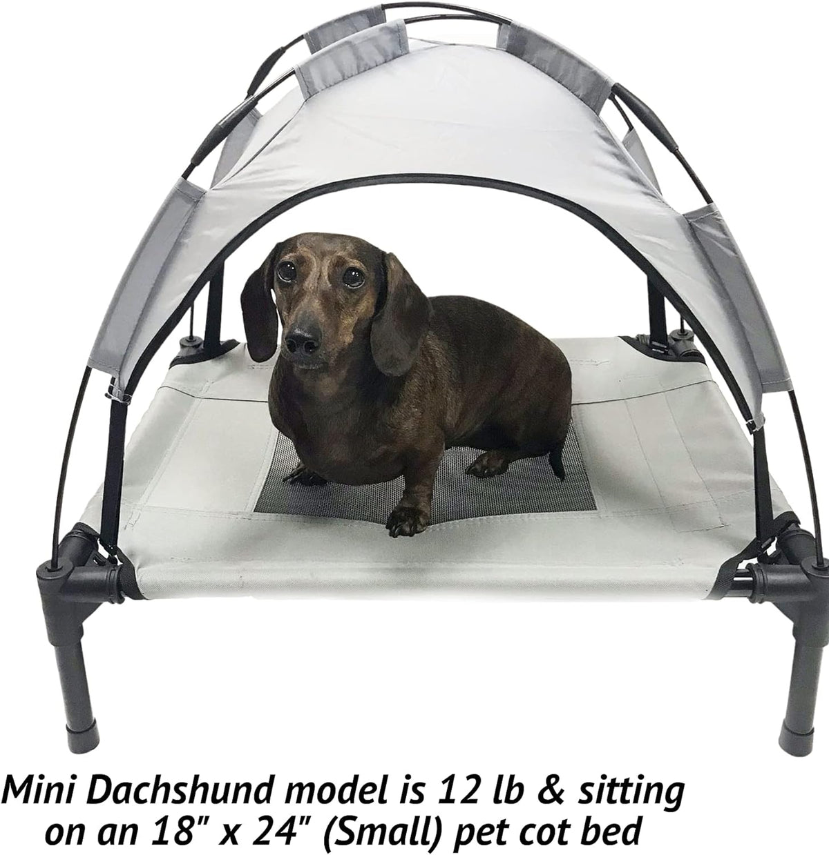 Grey Elevated Pet Cot With Canopy Outdoor Dog Bed I28053