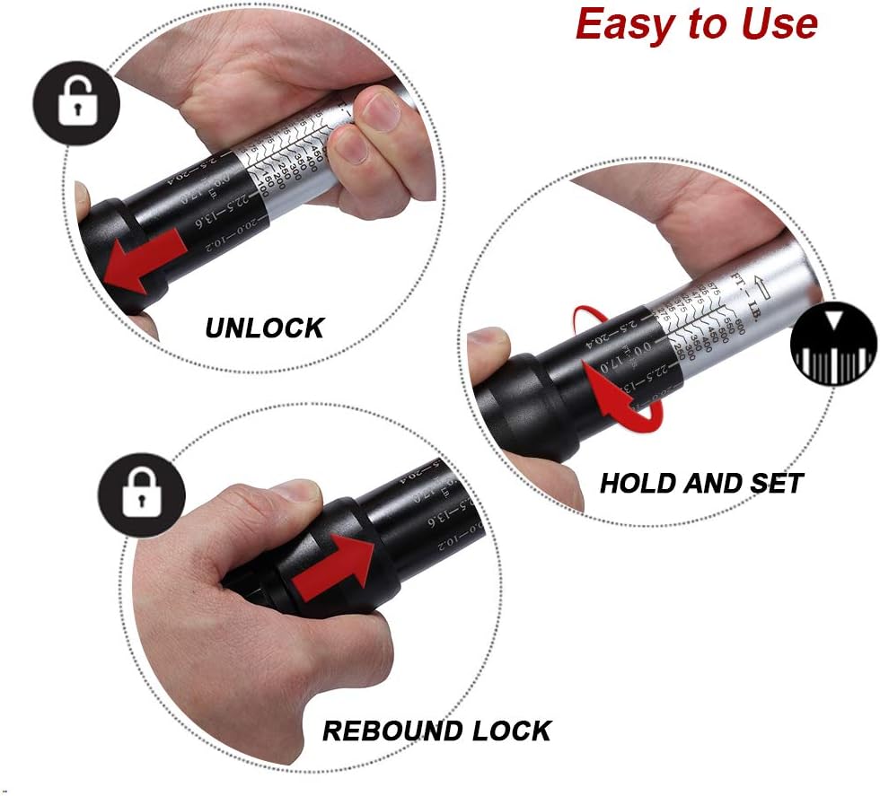 3/4-inch Drive Click Torque Wrench Set with Buckle with Screwdriver L246